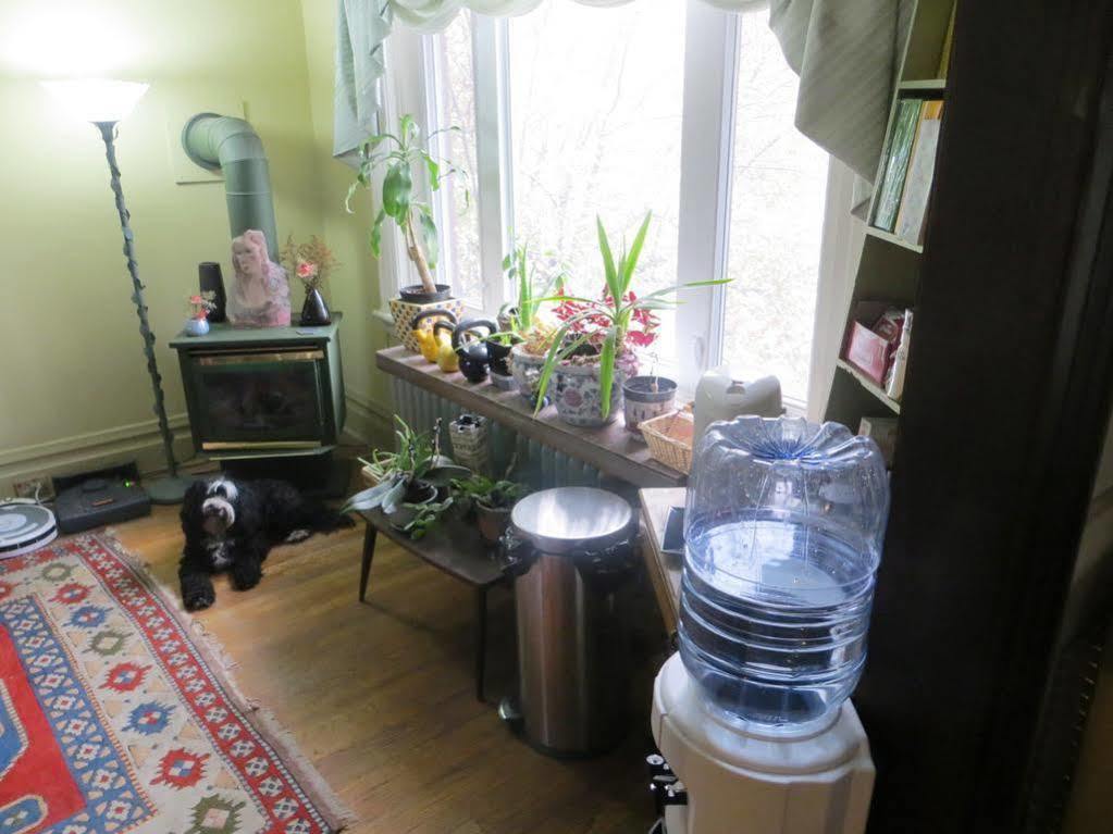 Downtown Bed And Breakfast Ottawa Extérieur photo